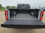 2025 Ford F-350 Crew Cab SRW 4x4 Pickup for sale #335372 - photo 14