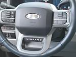 2024 Ford F-350 Crew Cab SRW 4x4 Pickup for sale #335380A - photo 10