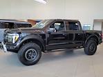 2025 Ford F-150 SuperCrew Cab 4x4 Pickup for sale #335396 - photo 5