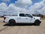 2025 Ford F-150 SuperCrew Cab 4x4 Pickup for sale #335399 - photo 3