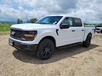 2025 Ford F-150 SuperCrew Cab 4x4 Pickup for sale #335399 - photo 4