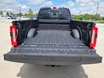 2025 Ford F-350 Crew Cab SRW 4x4 Pickup for sale #335420 - photo 11
