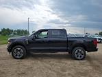 2025 Ford F-150 SuperCrew Cab 4x4 Pickup for sale #335432 - photo 6