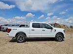 2025 Ford F-150 SuperCrew Cab 4x4 Pickup for sale #335436 - photo 3
