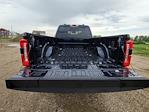 2025 Ford F-350 Crew Cab SRW 4x4 Pickup for sale #335470 - photo 14