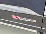 2025 Ford F-350 Crew Cab SRW 4x4 Pickup for sale #335487 - photo 16