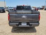 2025 Ford F-150 SuperCrew Cab 4x4 Pickup for sale #335501 - photo 10