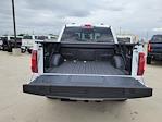 2025 Ford F-150 SuperCrew Cab 4x4 Pickup for sale #335518 - photo 10