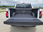 2025 Ford F-150 Lightning SuperCrew Cab AWD Pickup for sale #335519 - photo 10