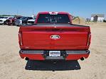 2025 Ford F-150 SuperCrew Cab 4x4 Pickup for sale #335559 - photo 10