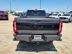 2025 Ford F-350 Crew Cab SRW 4x4 Pickup for sale #335582 - photo 10