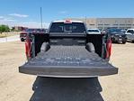 2025 Ford F-150 SuperCrew Cab 4x4 Pickup for sale #335589 - photo 11