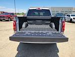 2025 Ford F-150 SuperCrew Cab 4x4 Pickup for sale #335591 - photo 10