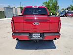 2025 Ford F-150 SuperCrew Cab 4x4 Pickup for sale #335618 - photo 10
