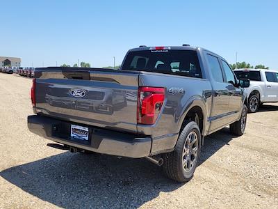 2025 Ford F-150 SuperCrew Cab 4x4 Pickup for sale #335624 - photo 2