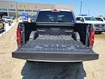 2025 Ford F-150 SuperCrew Cab 4x4 Pickup for sale #335624 - photo 10