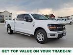 2025 Ford F-150 SuperCrew Cab 4x4 Pickup for sale #335631 - photo 1