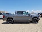 2025 Ford F-150 SuperCrew Cab 4x4 Pickup for sale #335669 - photo 3