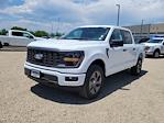 2025 Ford F-150 SuperCrew Cab 4x4 Pickup for sale #335677 - photo 4