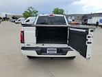 2025 Ford F-150 SuperCrew Cab 4x4 Pickup for sale #335679 - photo 13