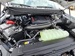 2025 Ford F-150 SuperCrew Cab 4x4 Pickup for sale #335704 - photo 15