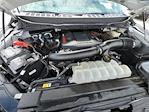 2022 Ford F-150 SuperCrew Cab 4WD Pickup for sale #335704A - photo 19