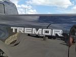 2025 Ford F-250 Crew Cab 4x4 Pickup for sale #335715 - photo 10