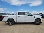 2025 Ford F-150 SuperCrew Cab 4x4 Pickup for sale #335723 - photo 3