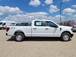 2025 Ford F-150 SuperCrew Cab 4x4 Pickup for sale #335728 - photo 3