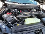 2025 Ford F-150 SuperCrew Cab 4x4 Pickup for sale #335755 - photo 15
