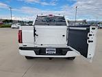 2025 Ford F-150 SuperCrew Cab 4x4 Pickup for sale #335759 - photo 11