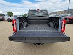 2025 Ford F-350 Crew Cab SRW 4x4 Pickup for sale #335765 - photo 11