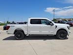 2025 Ford F-150 SuperCrew Cab 4x4 Pickup for sale #335769 - photo 3