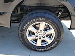 2019 Ford F-150 SuperCrew Cab 4x4 Pickup for sale #335774A - photo 15