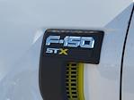 2025 Ford F-150 SuperCrew Cab 4x4 Pickup for sale #335794 - photo 10