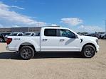 2025 Ford F-150 SuperCrew Cab 4x4 Pickup for sale #335794 - photo 3