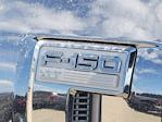 2025 Ford F-150 SuperCrew Cab 4x4 Pickup for sale #335799 - photo 11