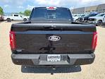 2025 Ford F-150 SuperCrew Cab 4x4 Pickup for sale #335799 - photo 9