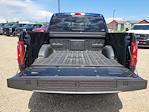 2025 Ford F-150 SuperCrew Cab 4x4 Pickup for sale #335811 - photo 10