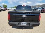 2025 Ford F-150 SuperCrew Cab 4x4 Pickup for sale #335816 - photo 10