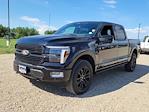2025 Ford F-150 SuperCrew Cab 4x4 Pickup for sale #335816 - photo 4