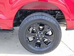2023 Ford F-150 SuperCrew Cab 4WD Pickup for sale #335816A - photo 15