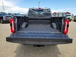 2025 Ford F-250 Crew Cab 4x4 Pickup for sale #335819 - photo 10