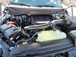 2025 Ford F-150 SuperCrew Cab 4x4 Pickup for sale #335837 - photo 15