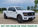 2025 Ford F-150 SuperCrew Cab 4x4 Pickup for sale #335851 - photo 1