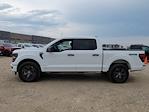 2025 Ford F-150 SuperCrew Cab 4x4 Pickup for sale #335851 - photo 6