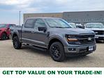 2025 Ford F-150 SuperCrew Cab 4x4 Pickup for sale #335866 - photo 1