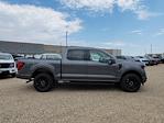 2025 Ford F-150 SuperCrew Cab 4x4 Pickup for sale #335866 - photo 3