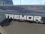 2025 Ford F-350 Crew Cab SRW 4x4 Pickup for sale #335882 - photo 13