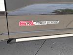 2025 Ford F-350 Crew Cab SRW 4x4 Pickup for sale #335882 - photo 15